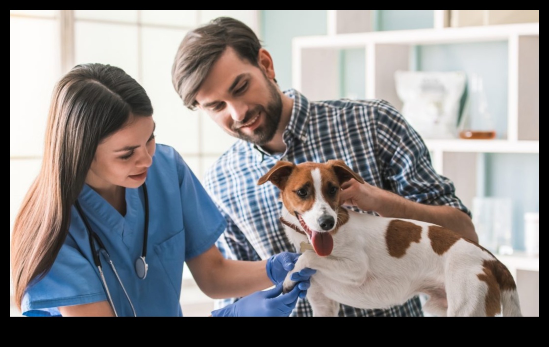 Köpek Diş Bakımı Devam Ediyor: Düzenli Kontrollerin Önemi